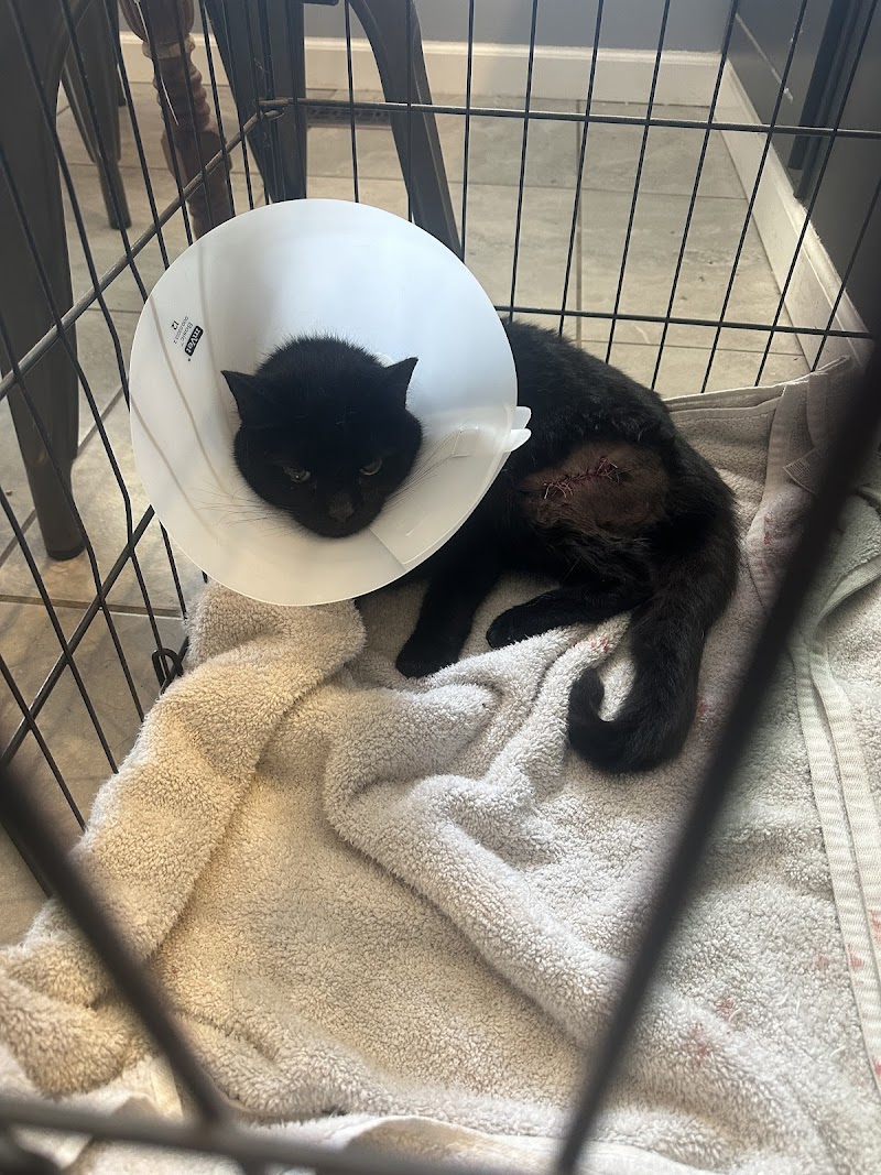 Angel Animal Hospital photo 3