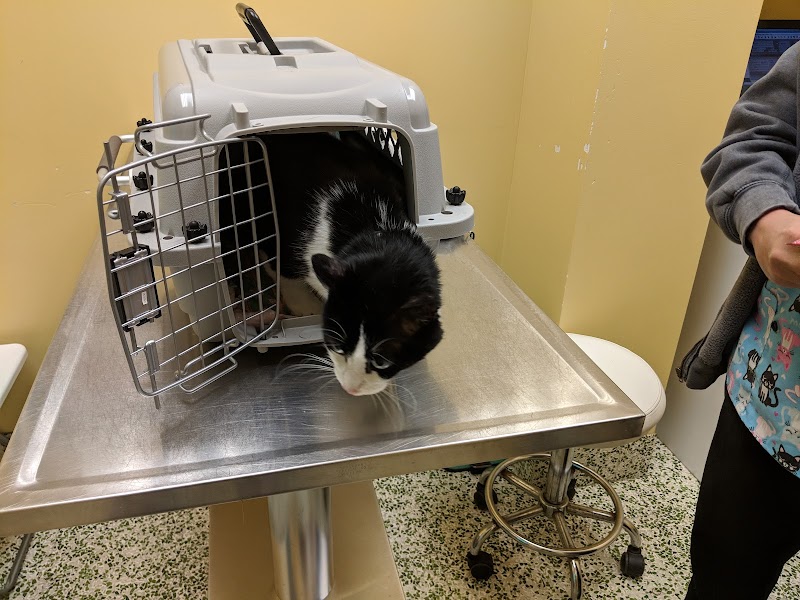 Nokomis Pet Clinic photo 3