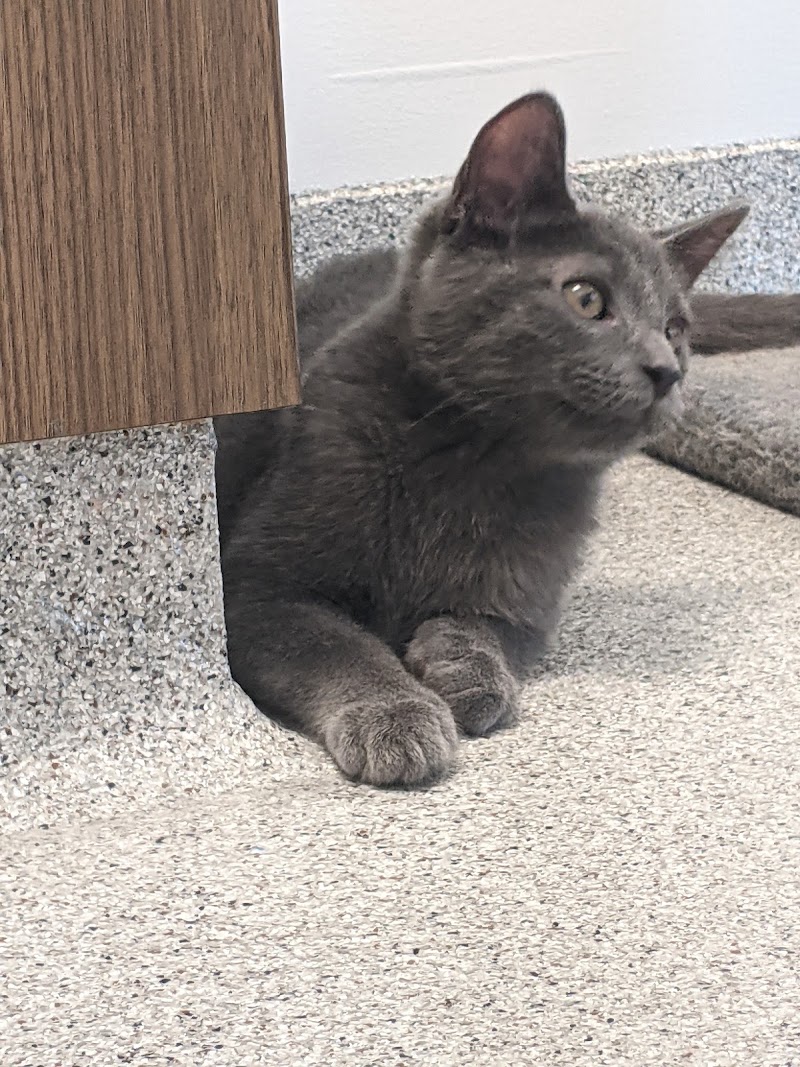 Naperville Area Humane Society