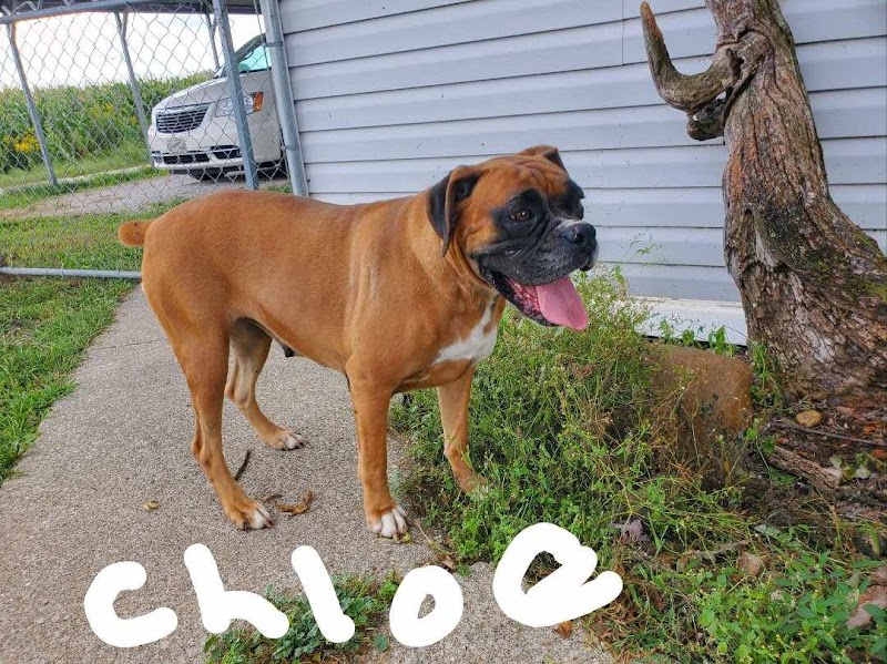 Heaven After Hell Pet Rescue