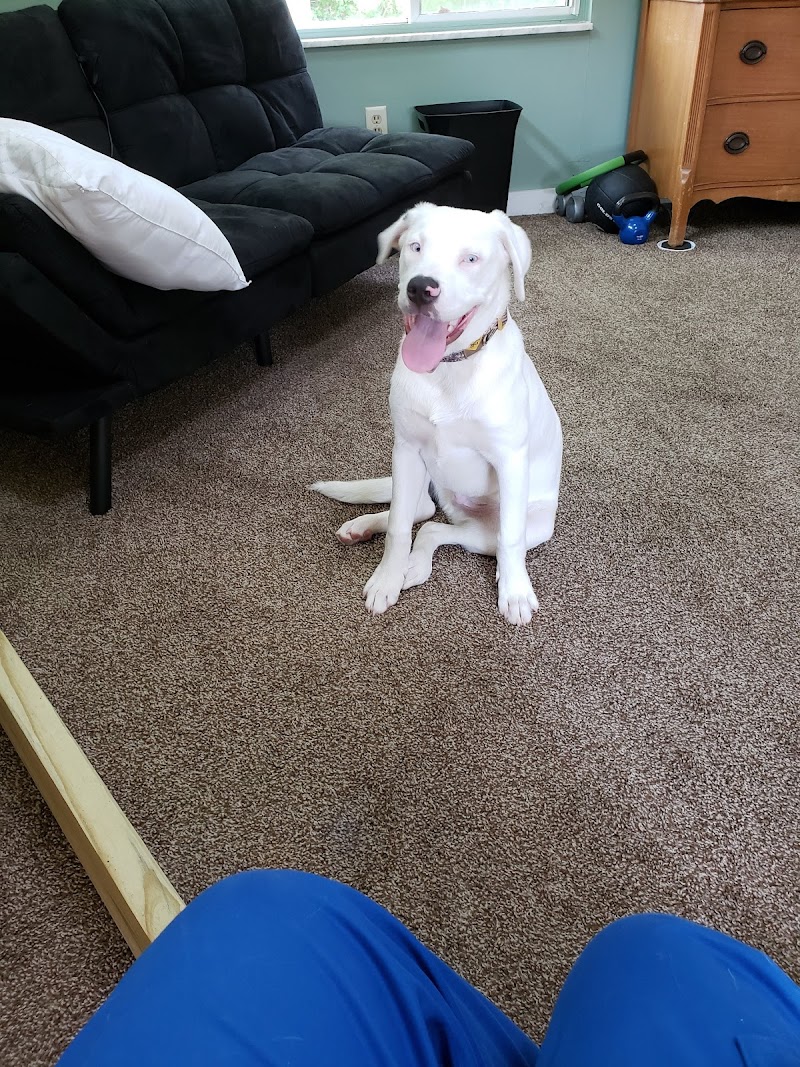 Heaven After Hell Pet Rescue photo 3