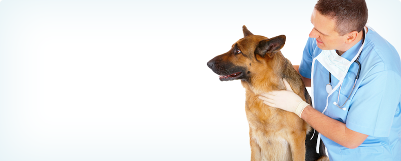 St. Paul Veterinary Clinic