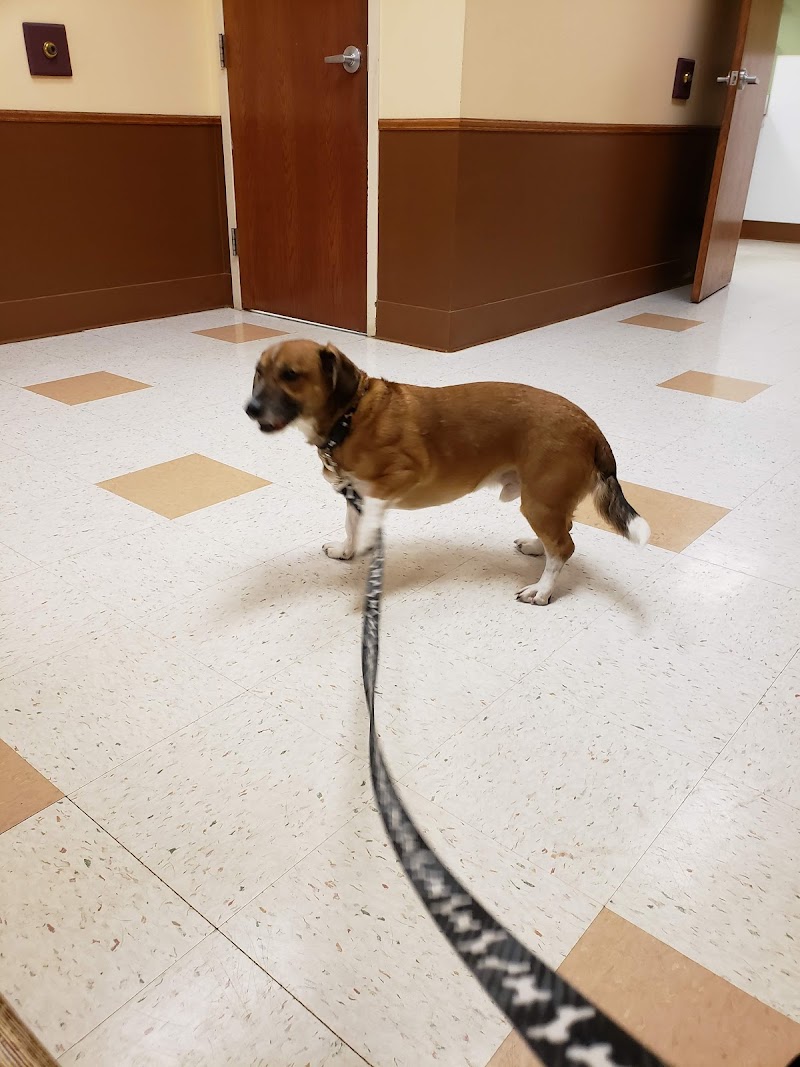 St. Paul Veterinary Clinic photo 3