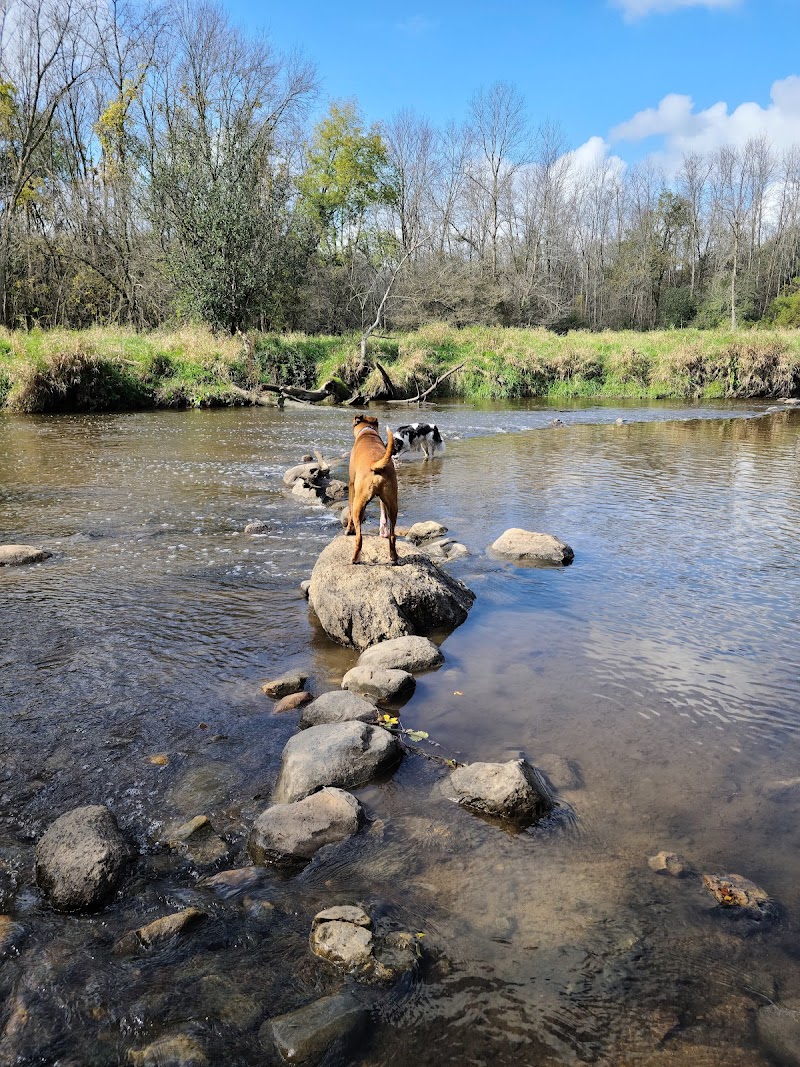 Granville Dog Park photo 2