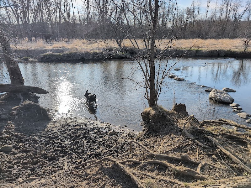 Granville Dog Park photo 3