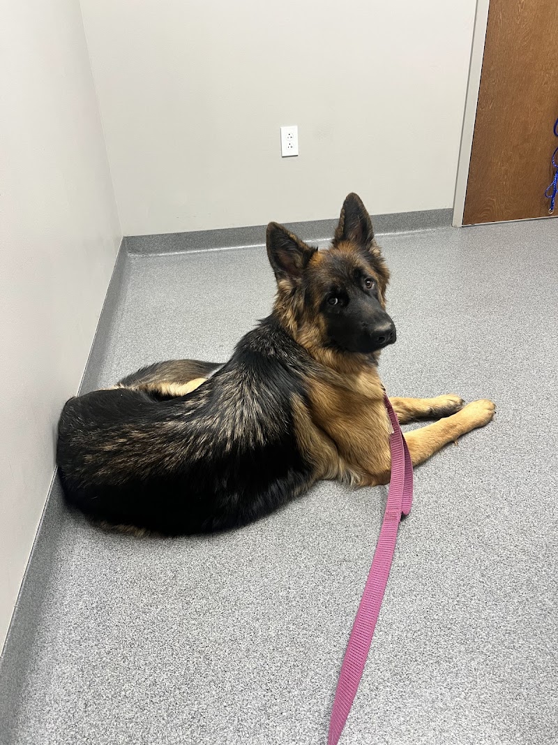 Ingalls Pet Wellness Clinic