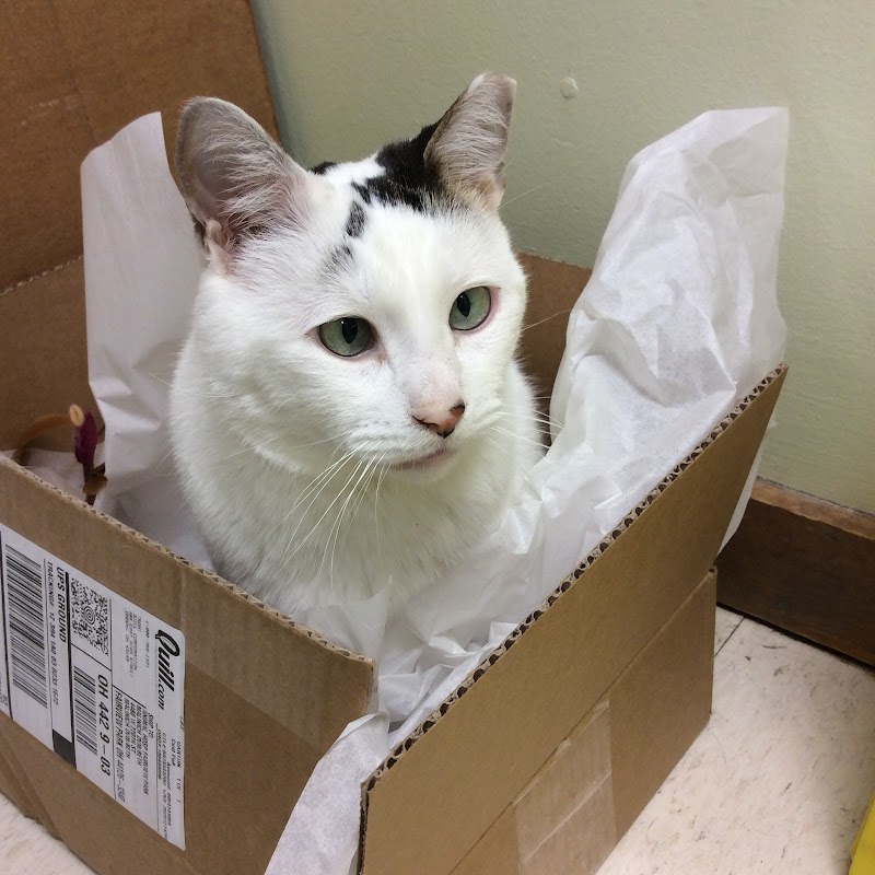 Animal Hospital of Fairview Park photo 2