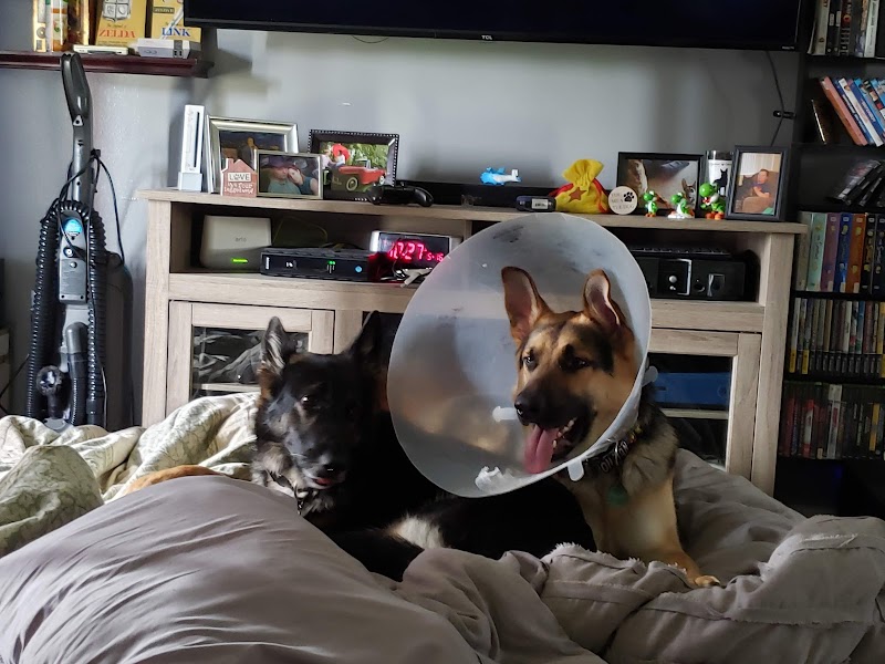 Animal Hospital of Fairview Park photo 3