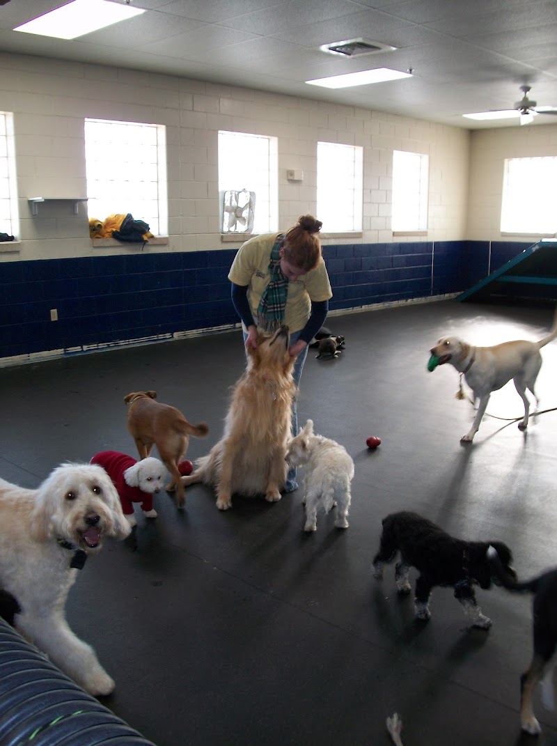 Harmony Pet Clinic photo 2