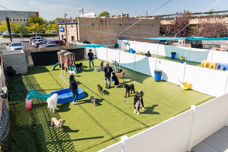 Pupstars Pet Care photo 3