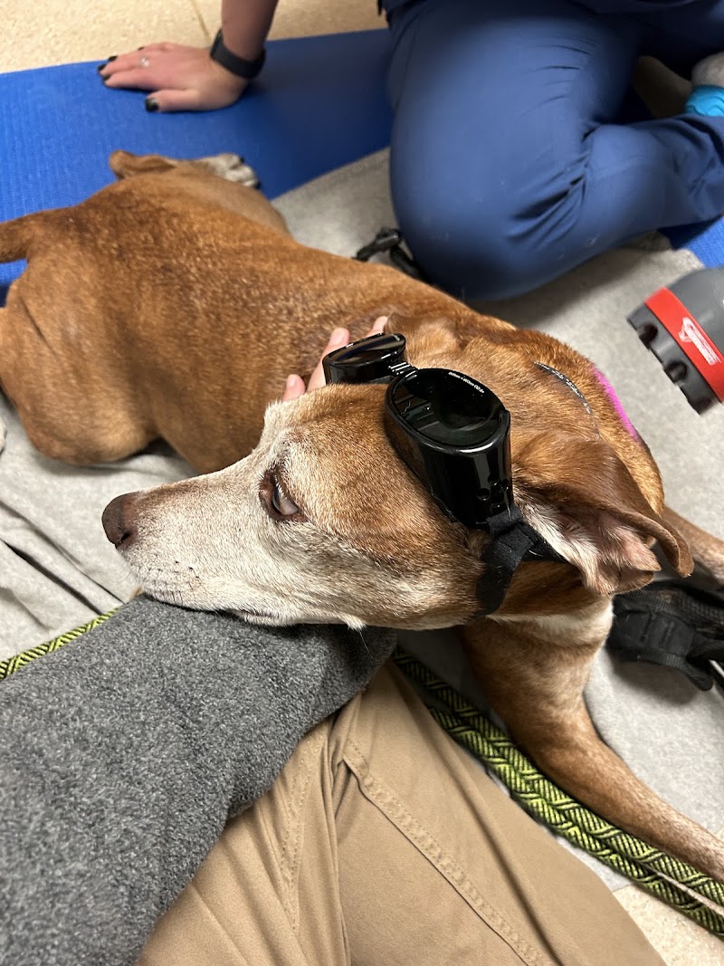 Wauwatosa Veterinary Clinic photo 3