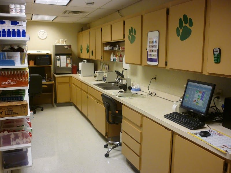 D'adamo Veterinary Hospital