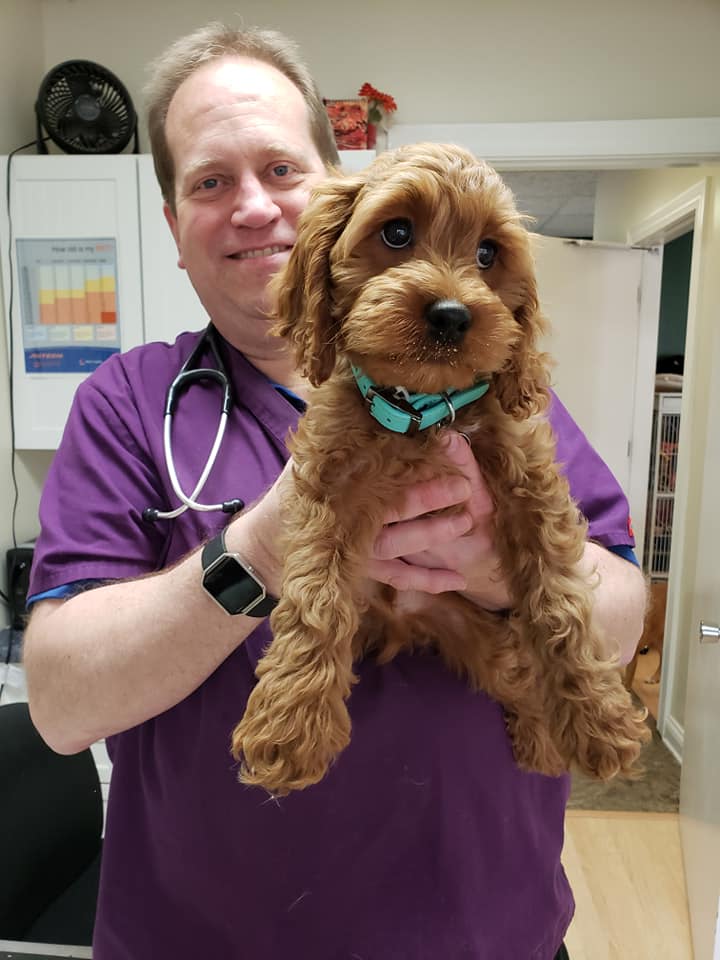 Cicero Veterinary Clinic photo 2