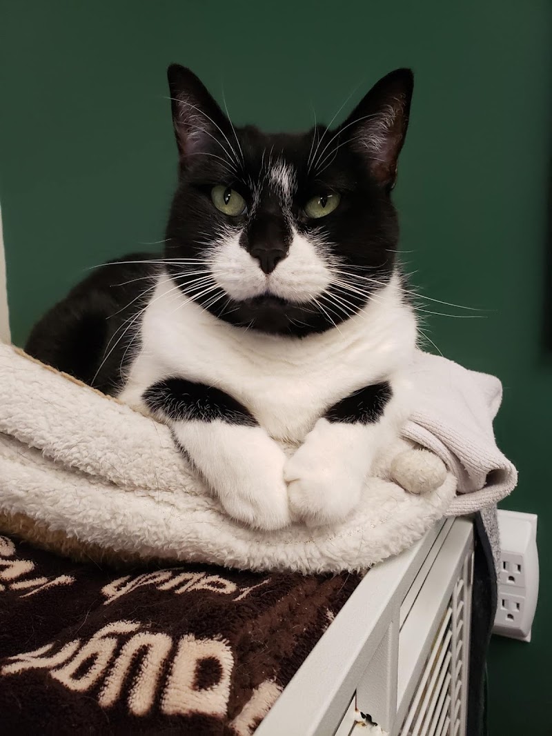 Cicero Veterinary Clinic photo 3