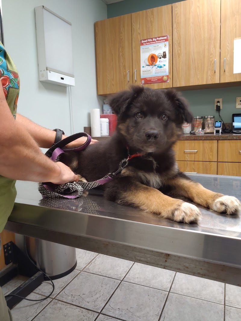 Middletown Animal Hospital