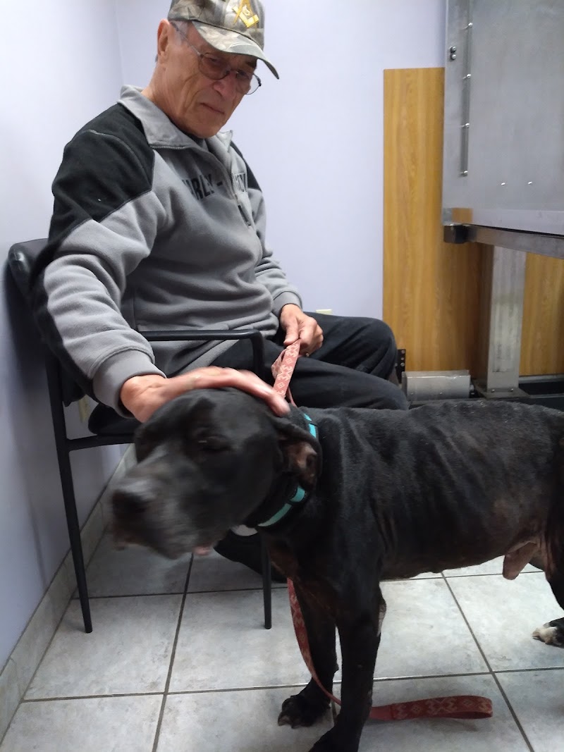 Middletown Animal Hospital photo 2