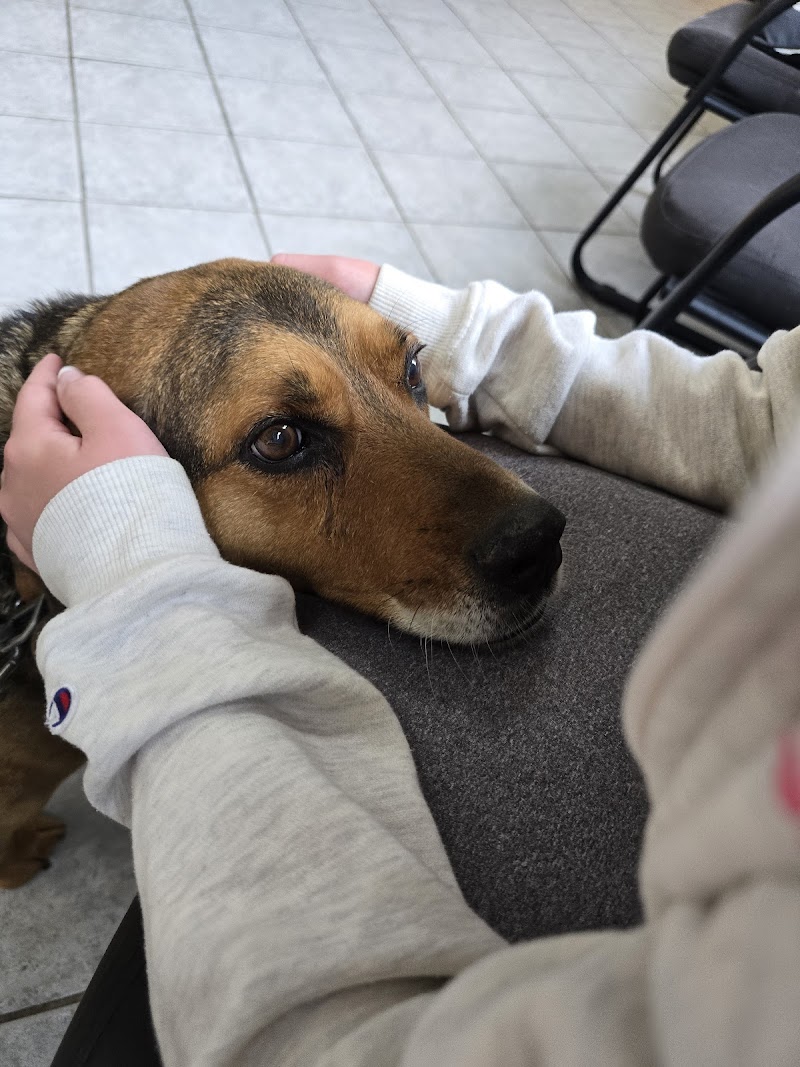 Middletown Animal Hospital photo 3