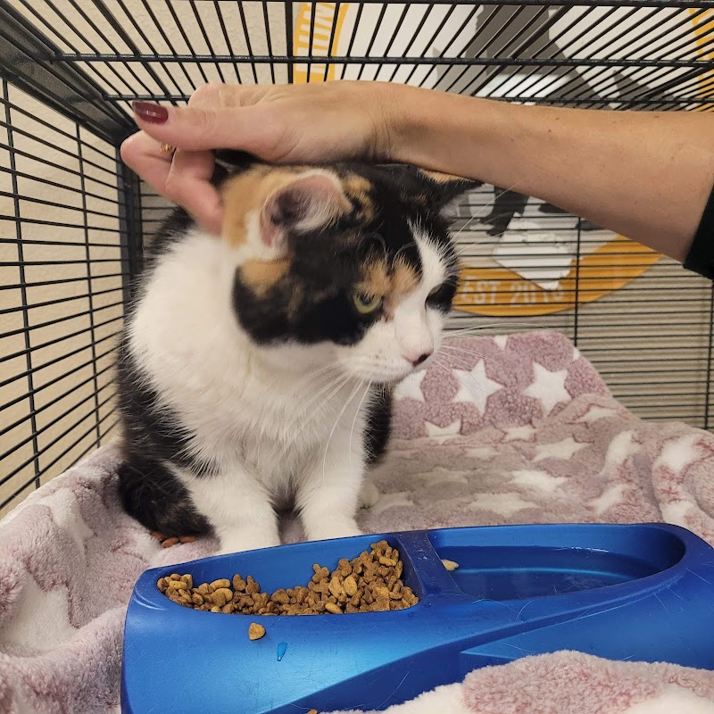 Muncie City Animal Shelter