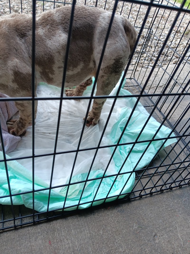 Muncie City Animal Shelter photo 2