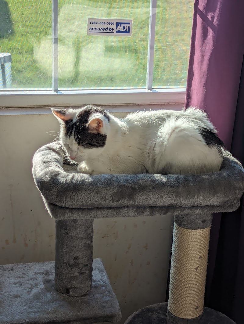 Muncie City Animal Shelter photo 3