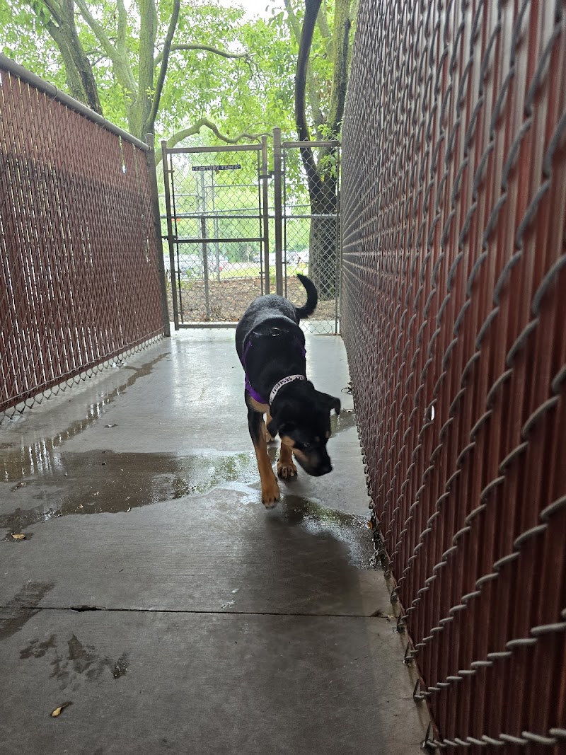 Walk for Animals photo 2