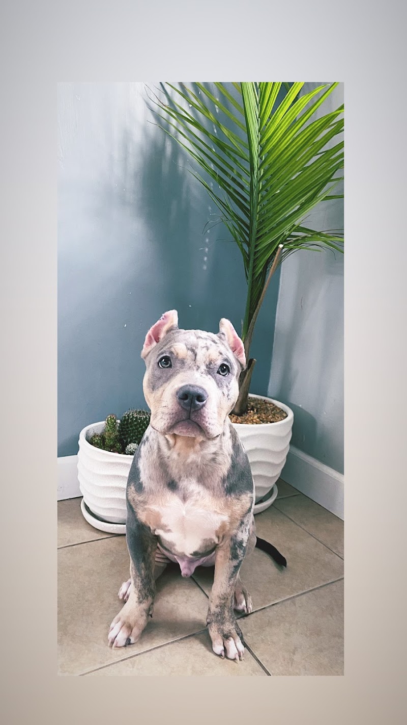 Warrensville Animal Hospital