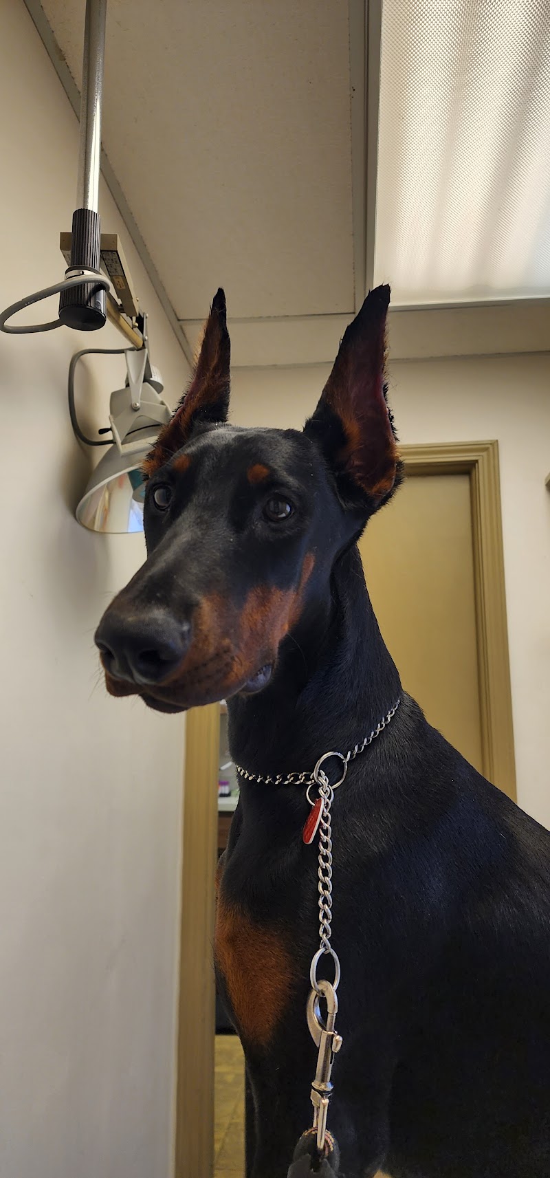 Warrensville Animal Hospital photo 2