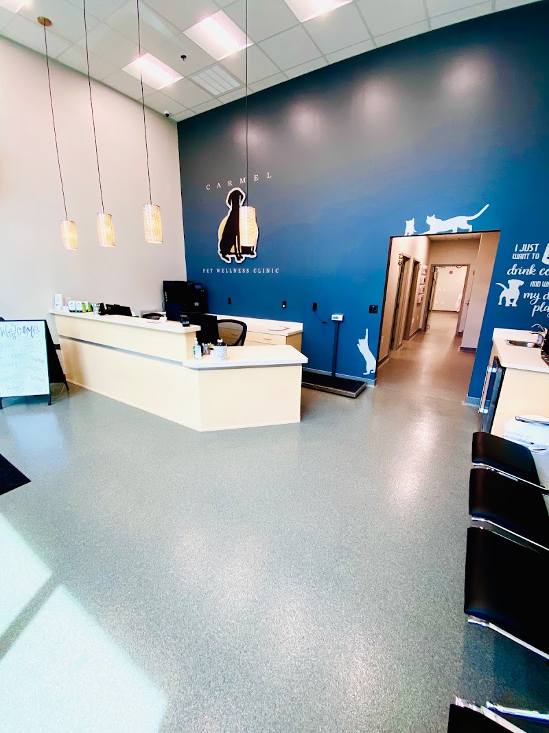 Carmel Pet Care photo 2