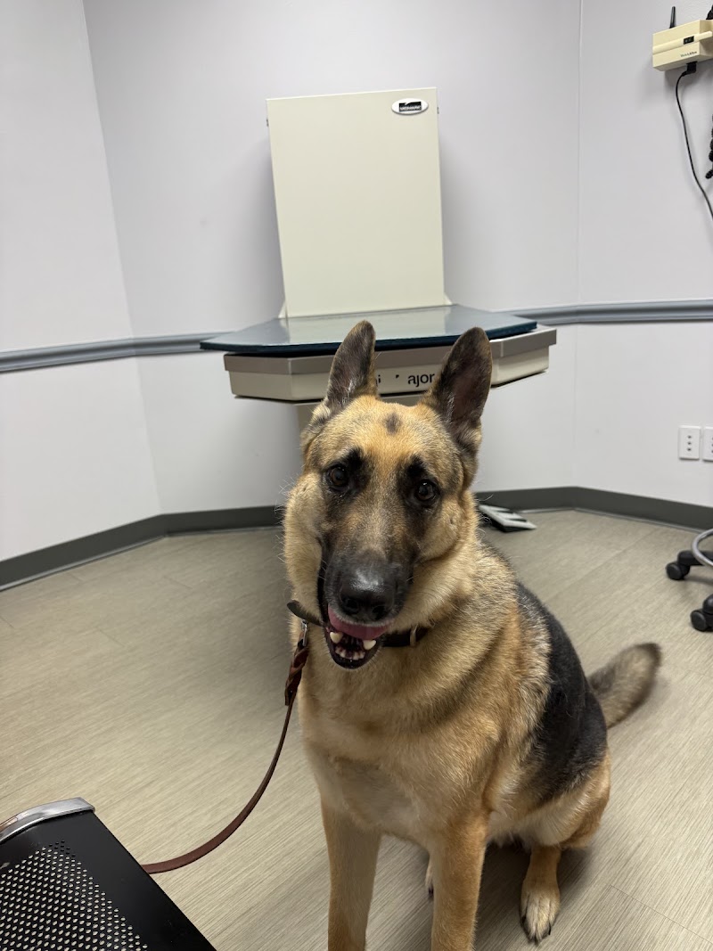 Freeland Animal Hospital photo 3