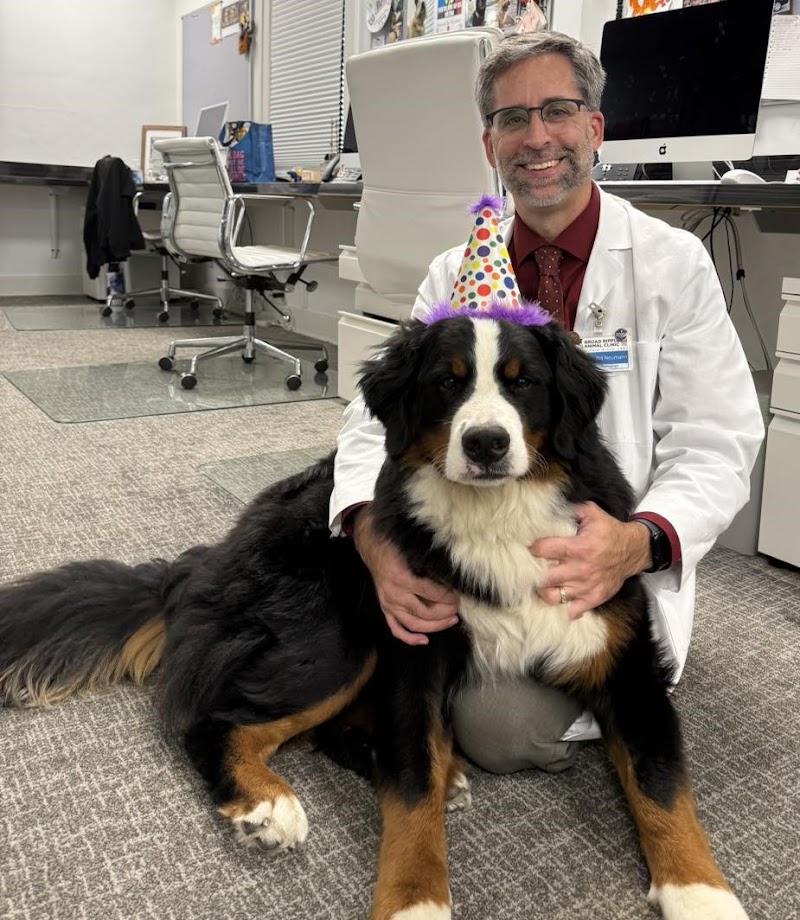 Broad Ripple Animal Clinic