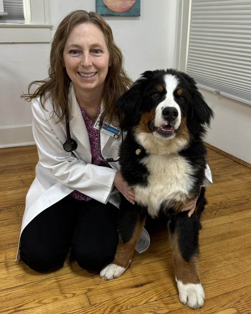 Broad Ripple Animal Clinic photo 2