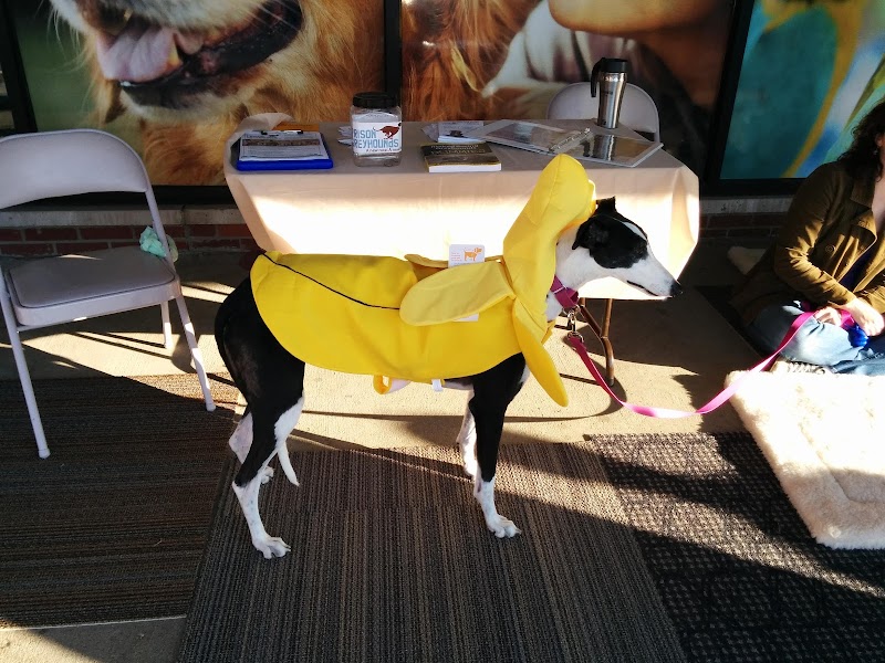 Pet Supplies Plus Broad Ripple photo 3