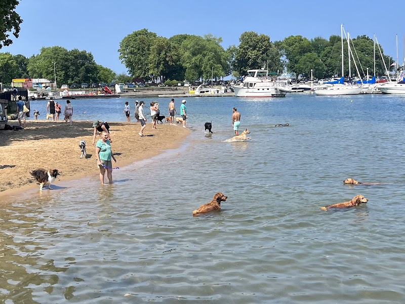 Dog Beach at Belmont Harbor