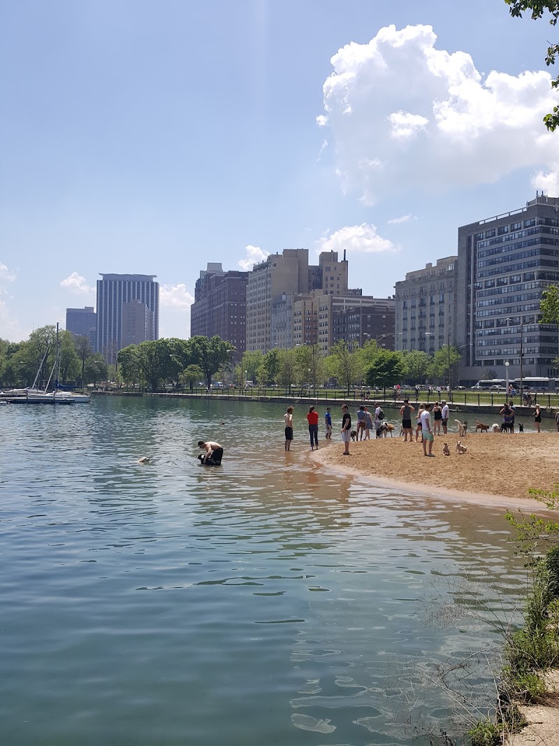Dog Beach at Belmont Harbor photo 2