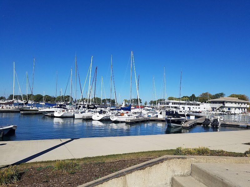 Dog Beach at Belmont Harbor photo 3