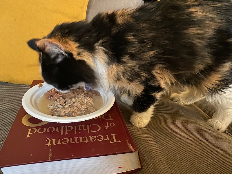 Alternative Pet Services