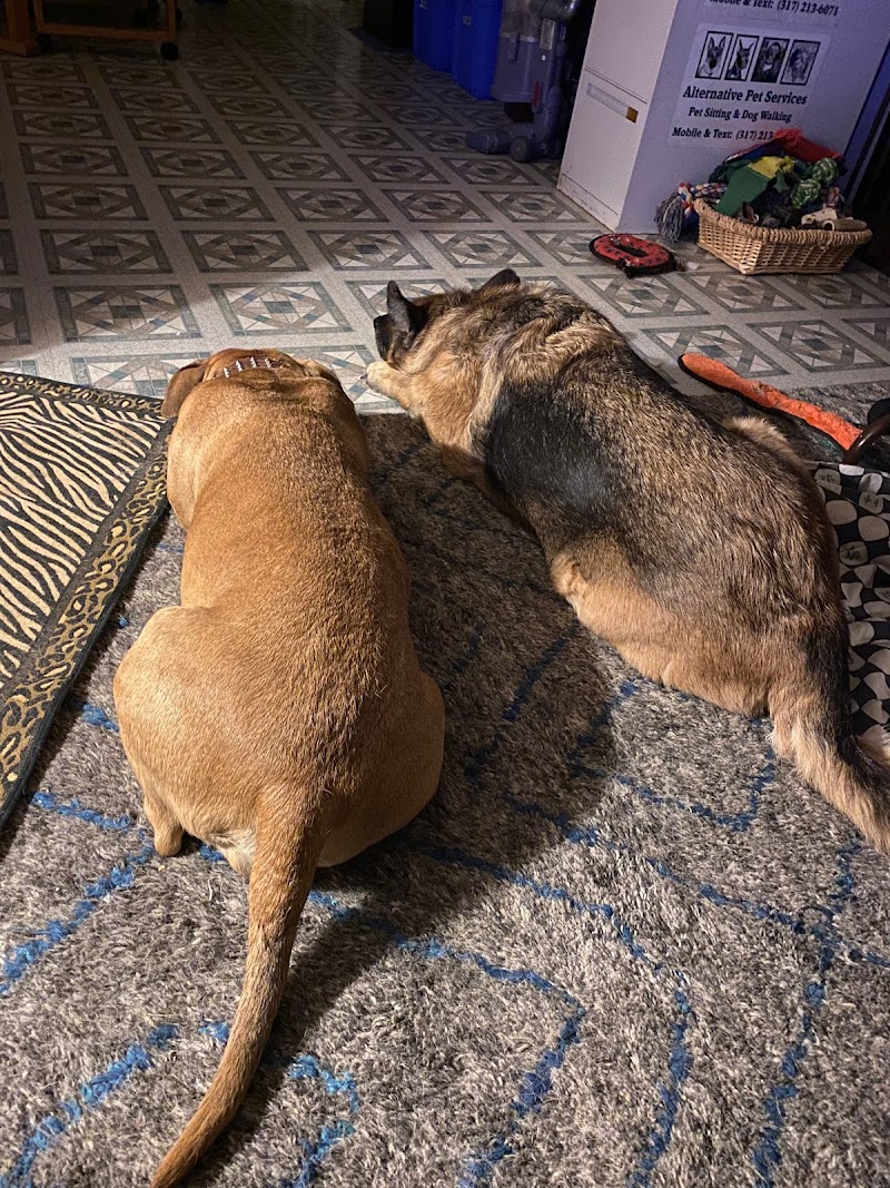 Alternative Pet Services photo 2