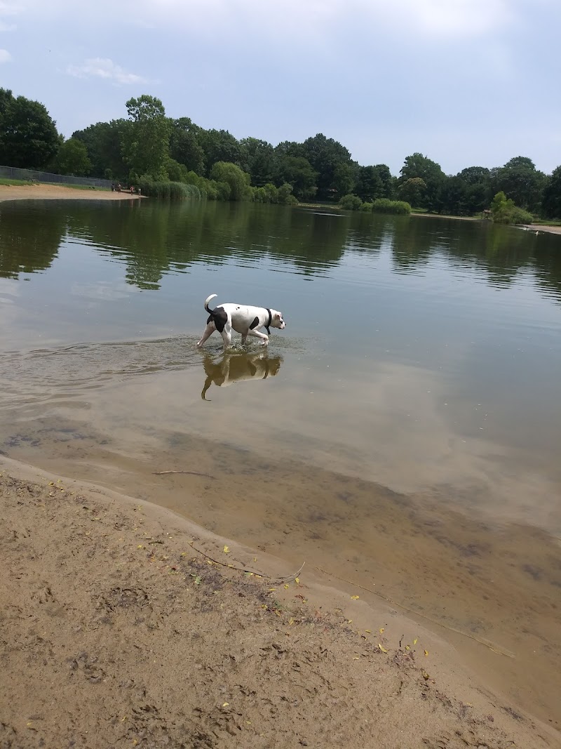 Bow Wow Beach Dog Park