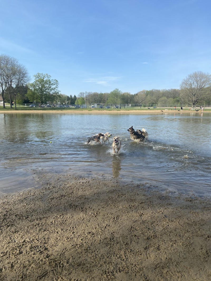 Bow Wow Beach Dog Park photo 2