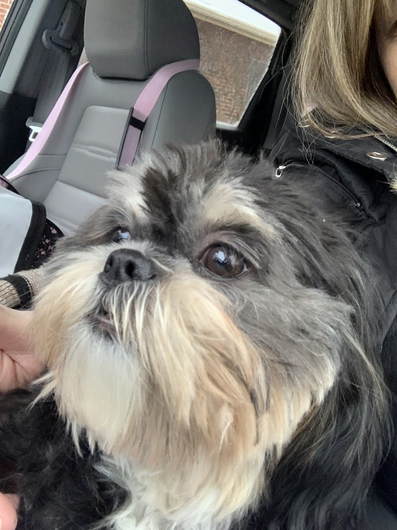 Gateway Veterinary Clinic photo 3