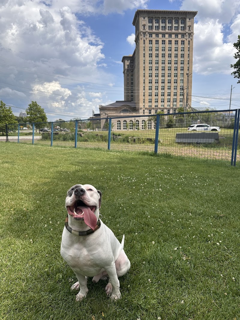 Detroit Dog Park