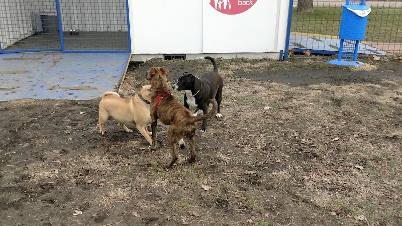 Detroit Dog Park photo 2