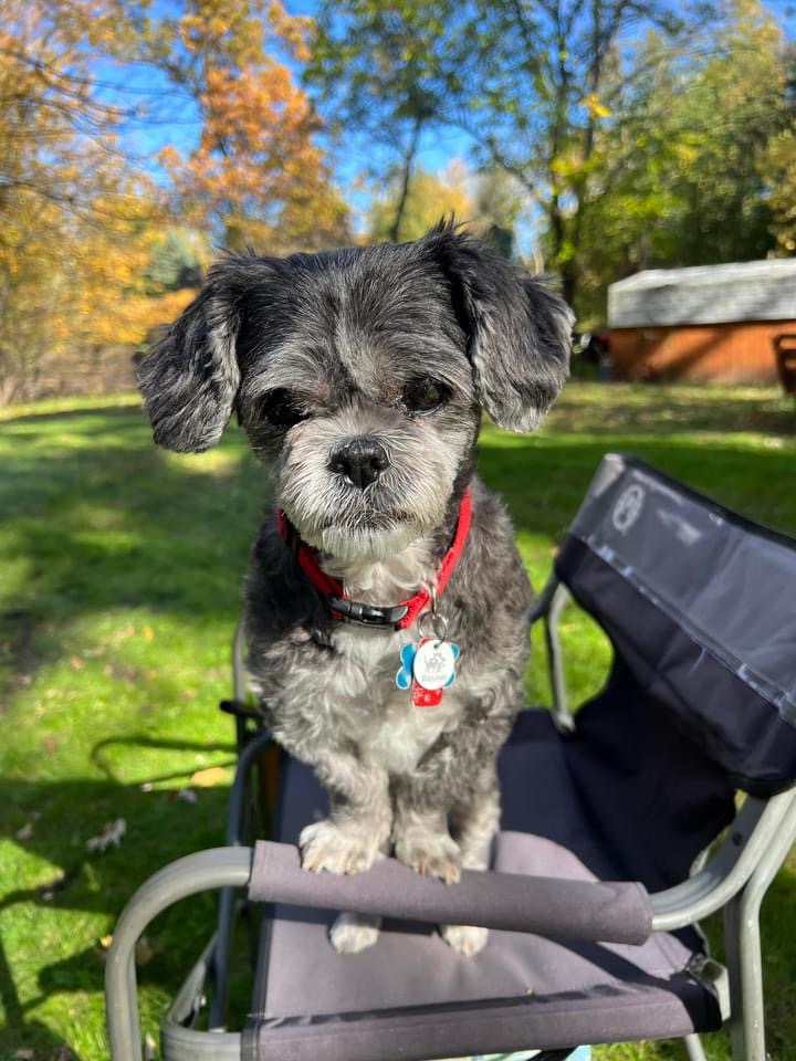 ACC of Randall Pointe photo 2