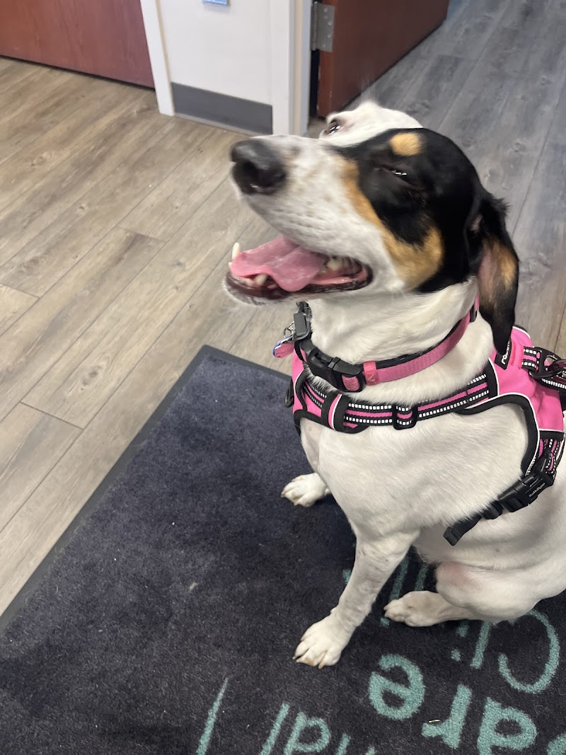 ACC of Randall Pointe photo 3