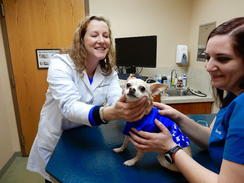 Westgate Pet Clinic photo 2