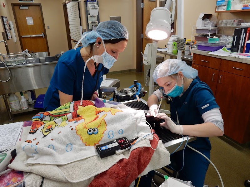 Westgate Pet Clinic photo 3