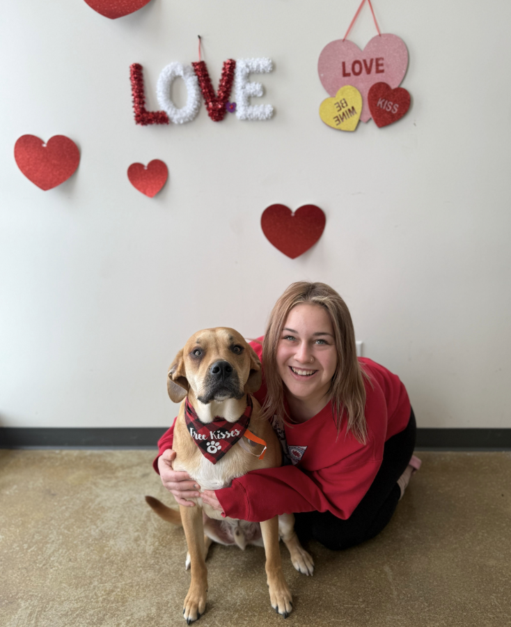 Adogo Pet Hotels photo 3