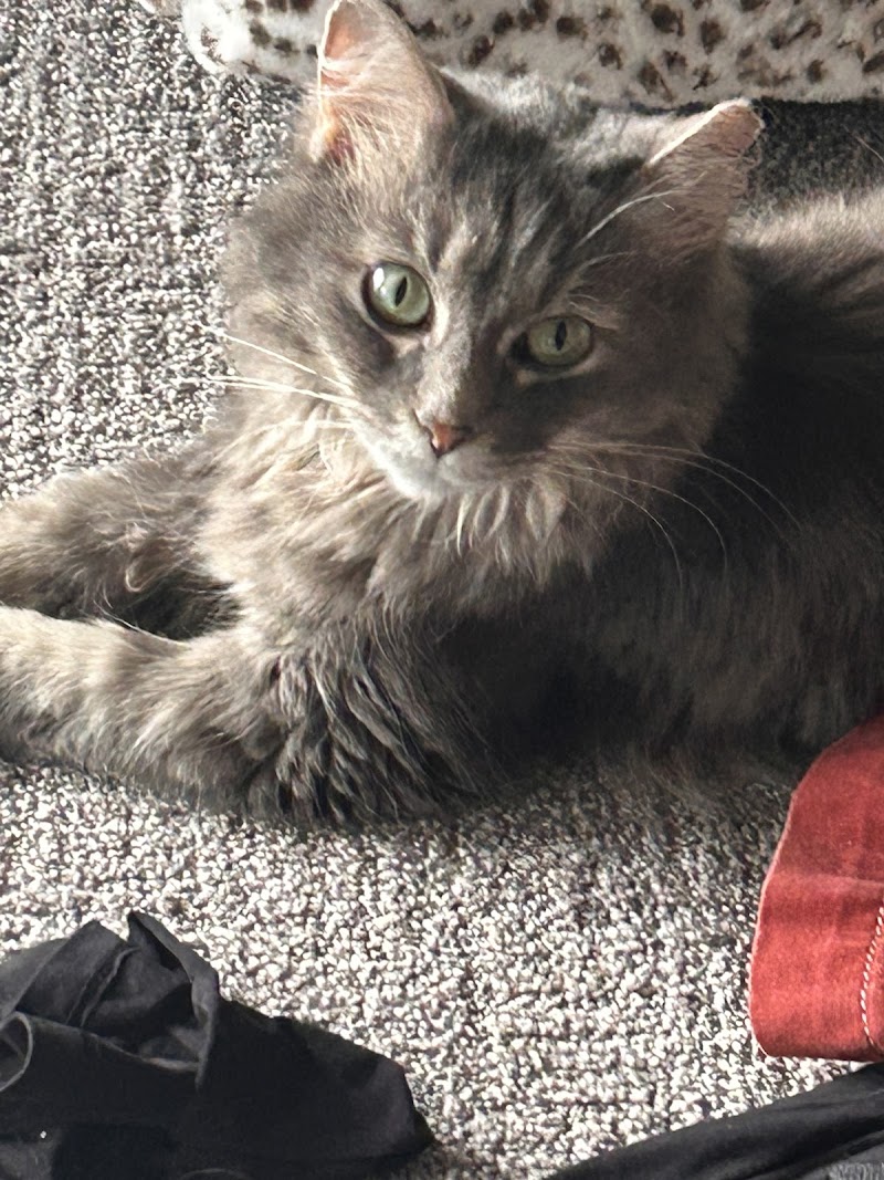 Indianapolis Animal Care Services photo 2