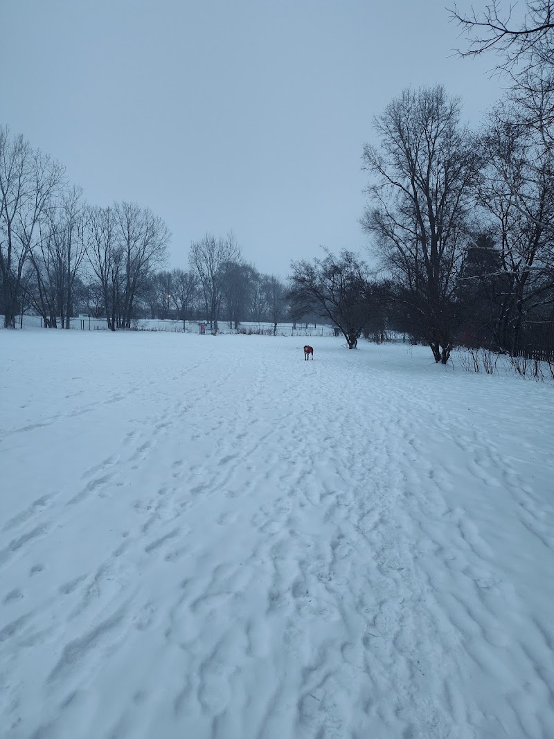 Victory Prairie Off-Leash Recreation Area photo 3