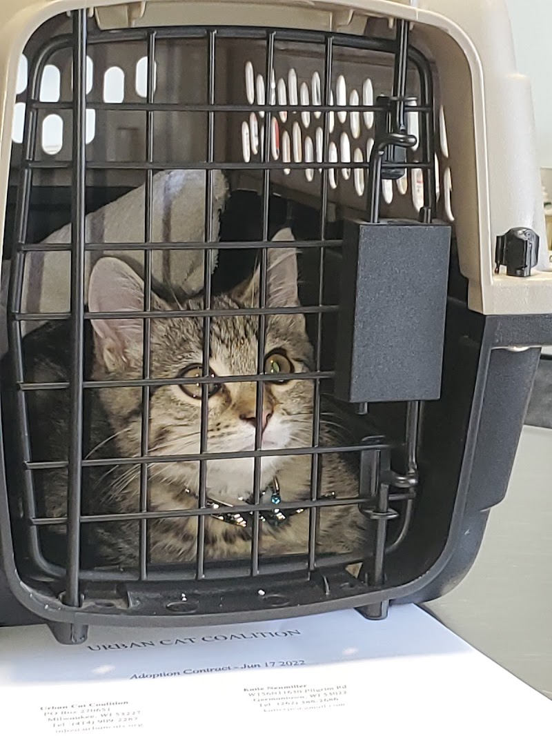 Lakeside Animal Hospital photo 3